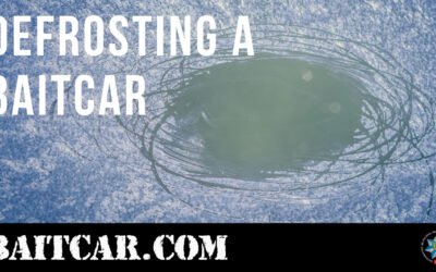 2021 Bait Car Arrest