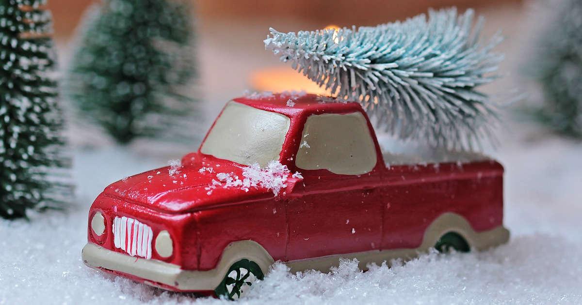 baitcar-christmas-shopping-from-cart-1